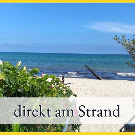 3 Zimmer App Duenengarten Fewo 58 Ostseebad Kühlungsborn Exteriör bild