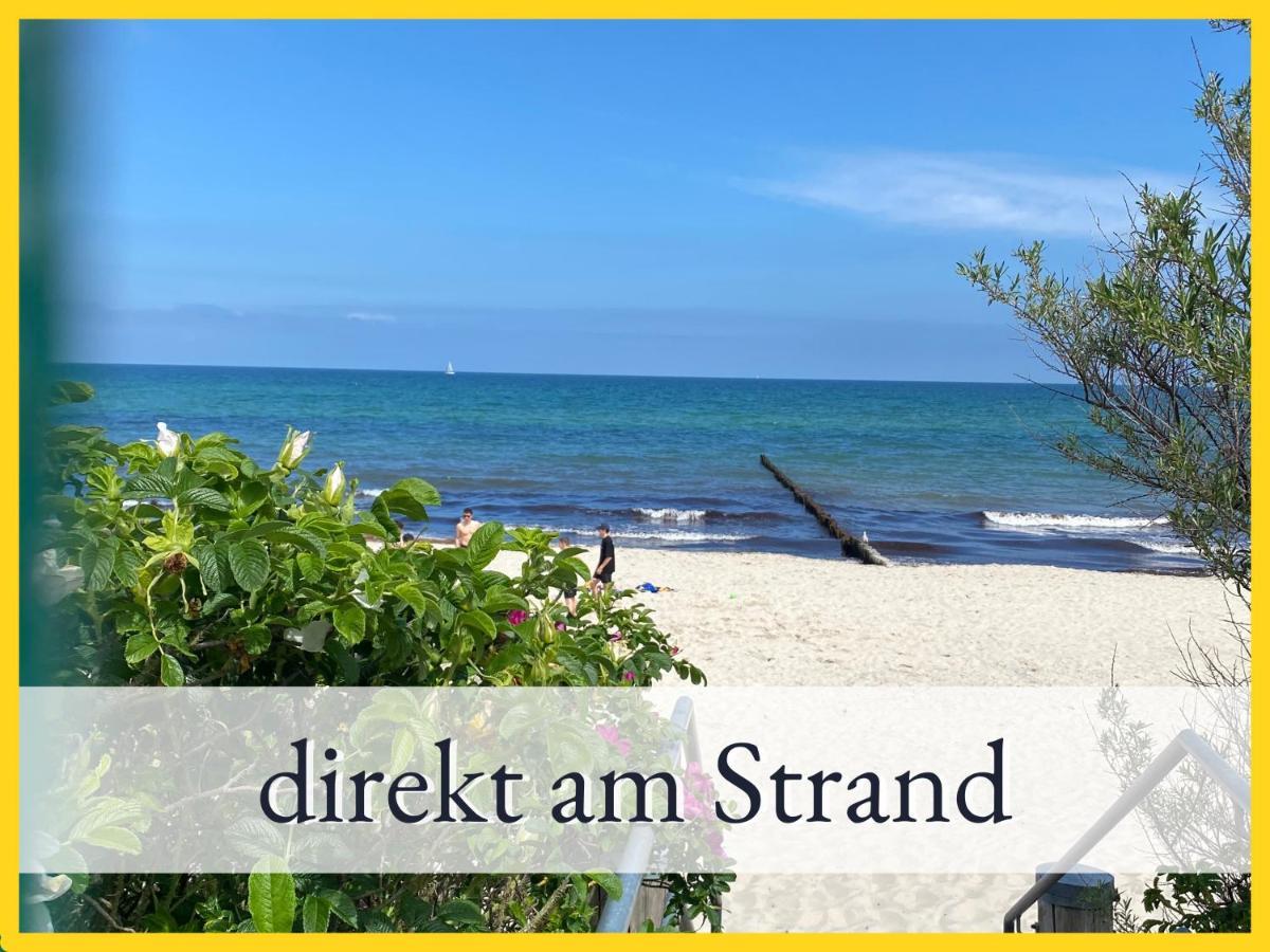 3 Zimmer App Duenengarten Fewo 58 Ostseebad Kühlungsborn Exteriör bild