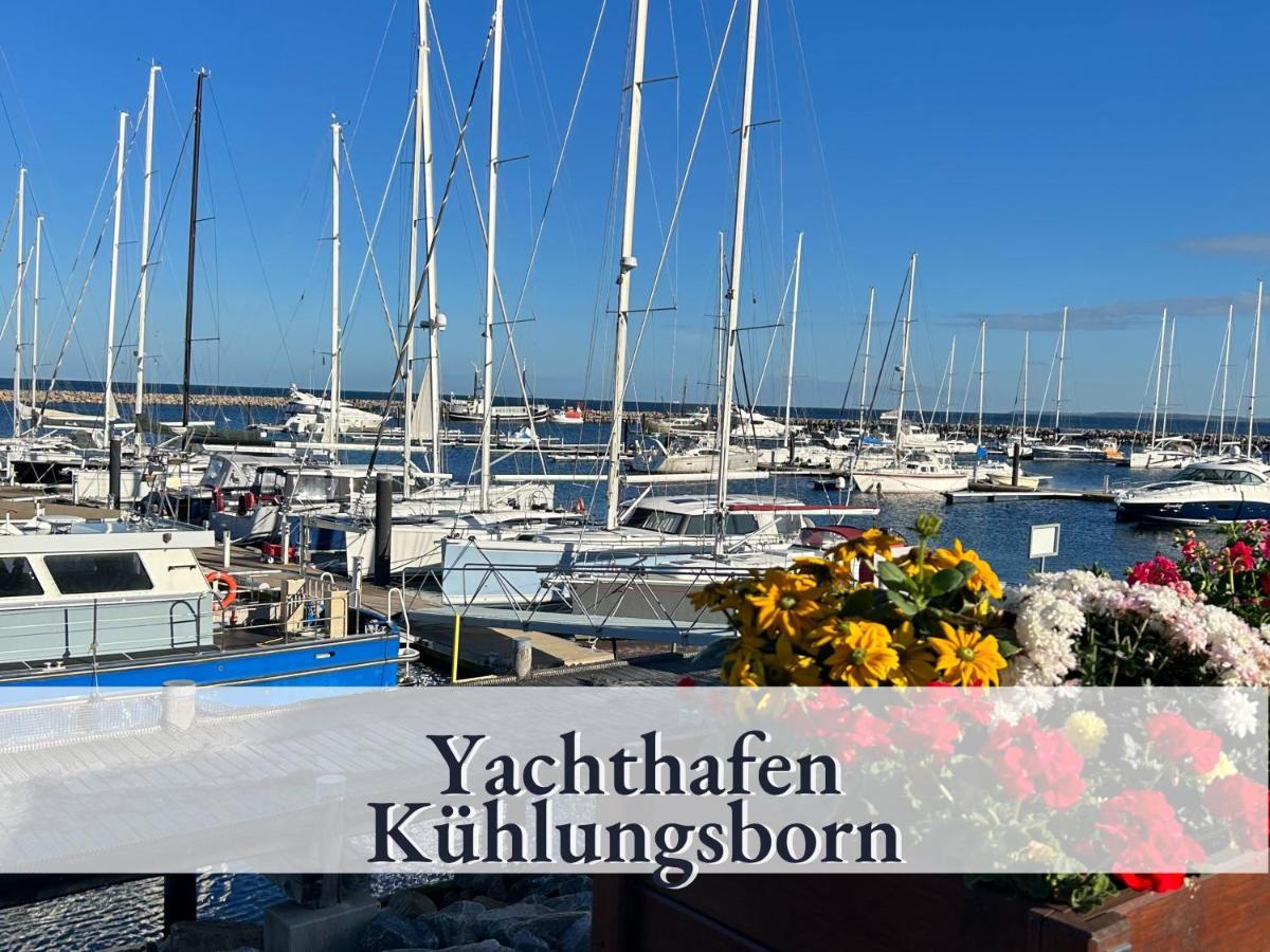 3 Zimmer App Duenengarten Fewo 58 Ostseebad Kühlungsborn Exteriör bild