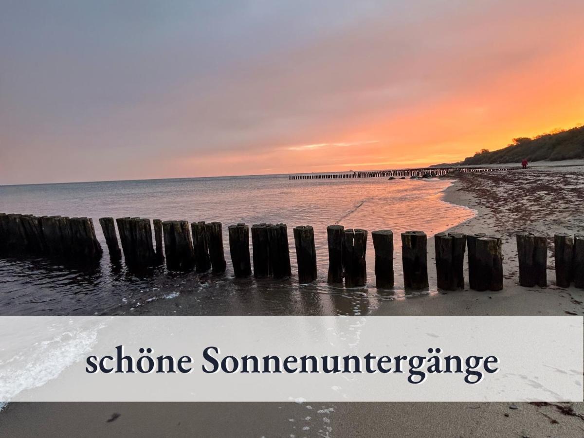 3 Zimmer App Duenengarten Fewo 58 Ostseebad Kühlungsborn Exteriör bild