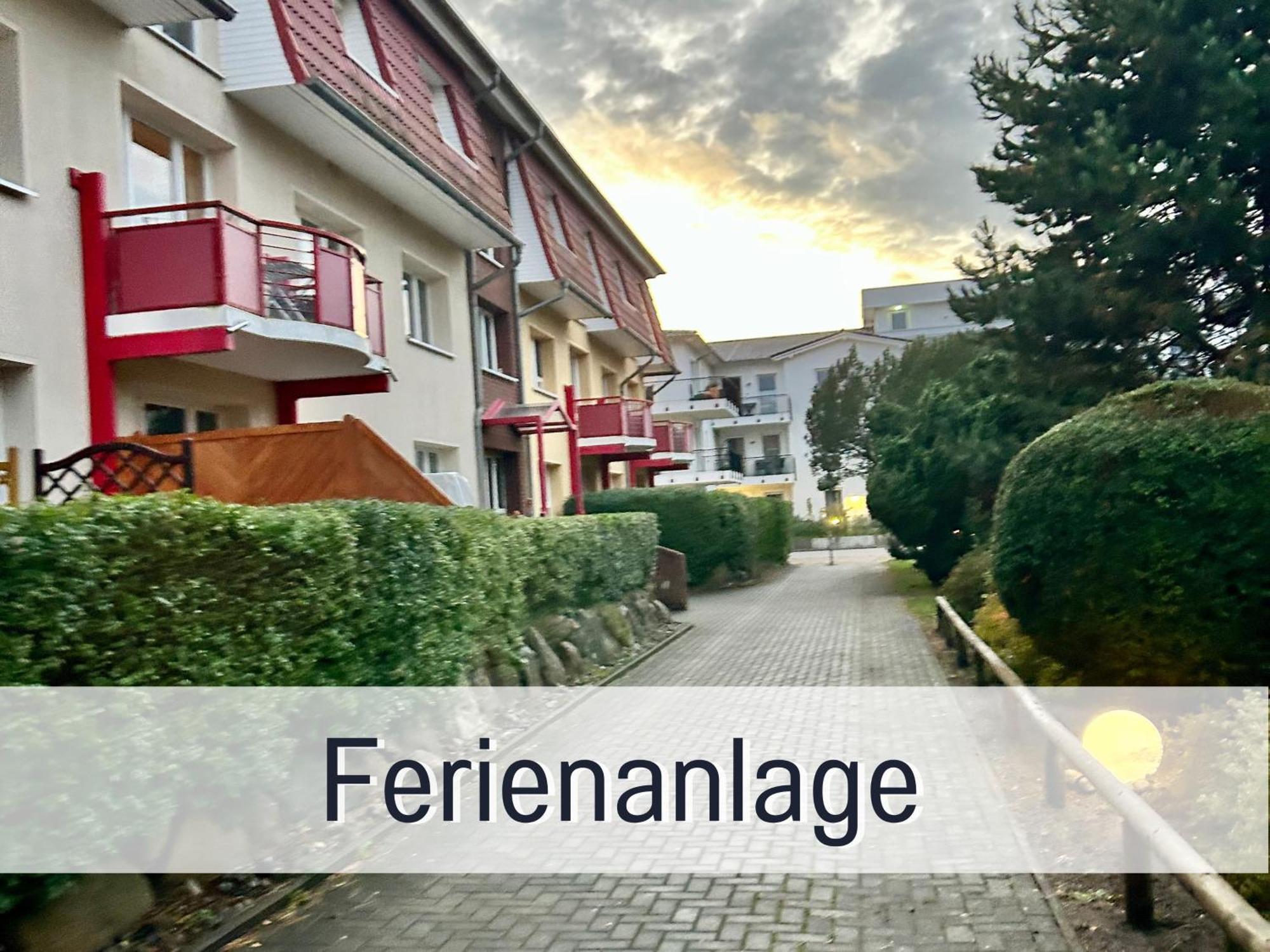 3 Zimmer App Duenengarten Fewo 58 Ostseebad Kühlungsborn Exteriör bild